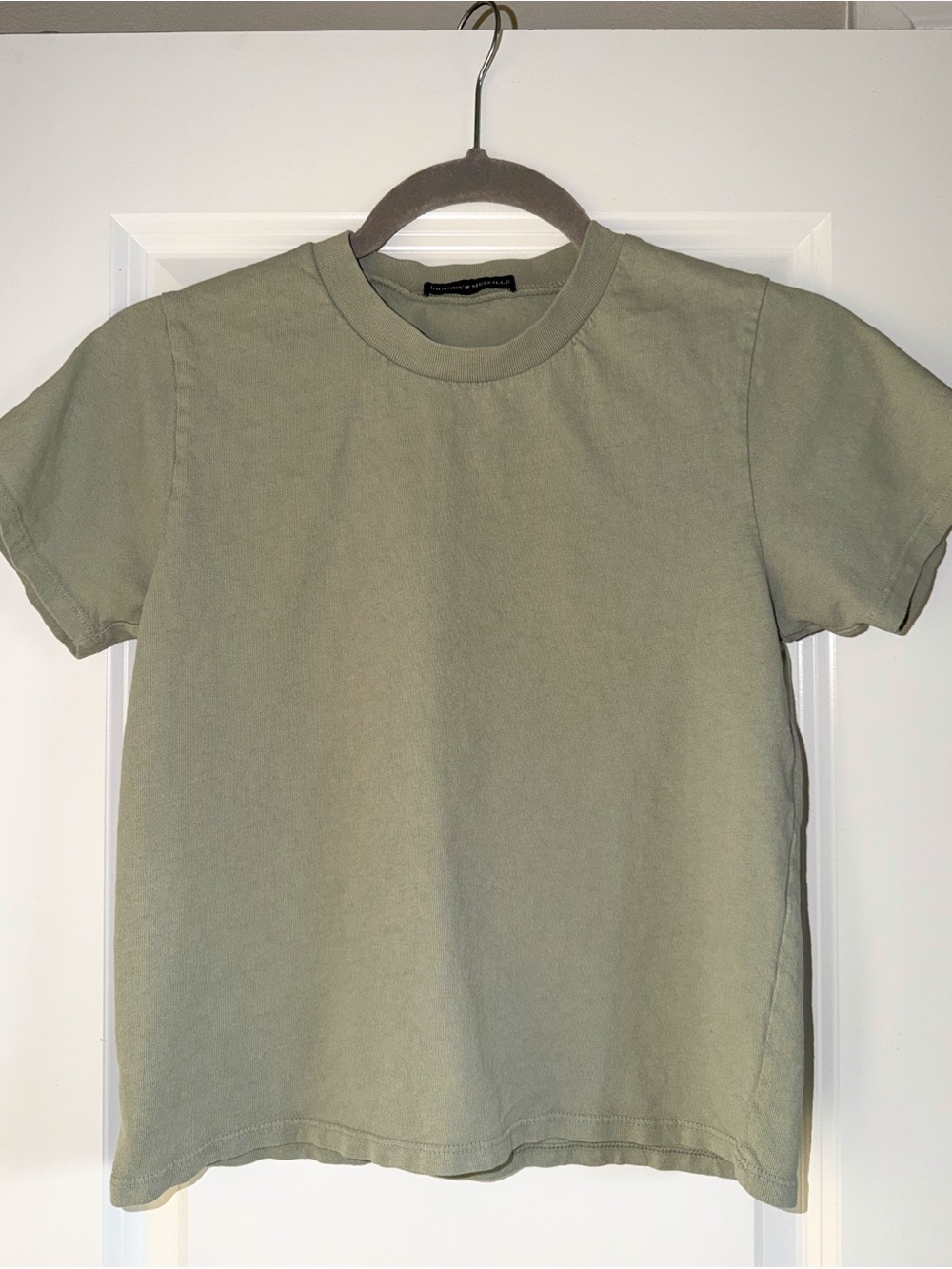 Brandy Melville Sage Green Short Sleeve Crew Tee